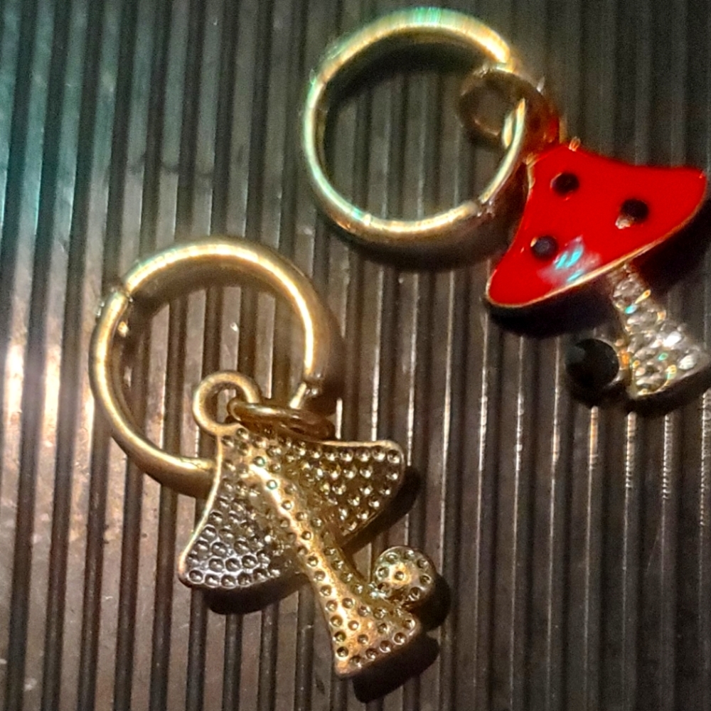 Ear rings